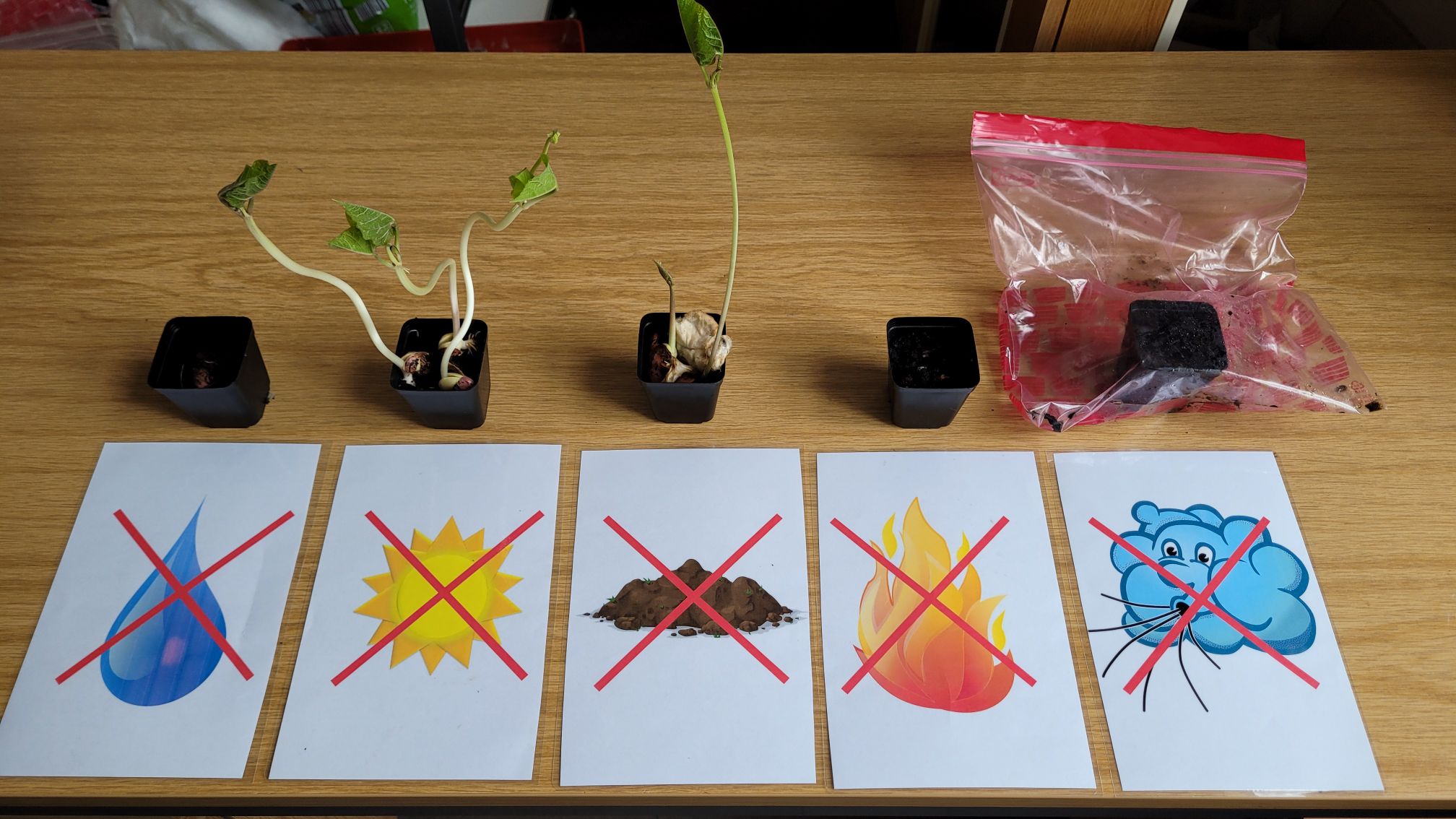 Experimente im MINT-Bereich