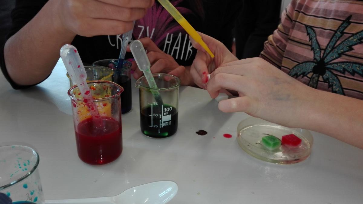 Experimente im MINT-Bereich