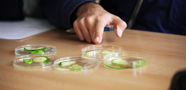 Naturwissenschaften Versuchsaufbau