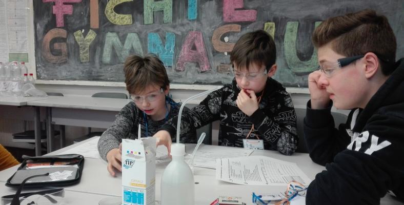 Die Grundschulkinder durften selbstständig forschen und entdecken.